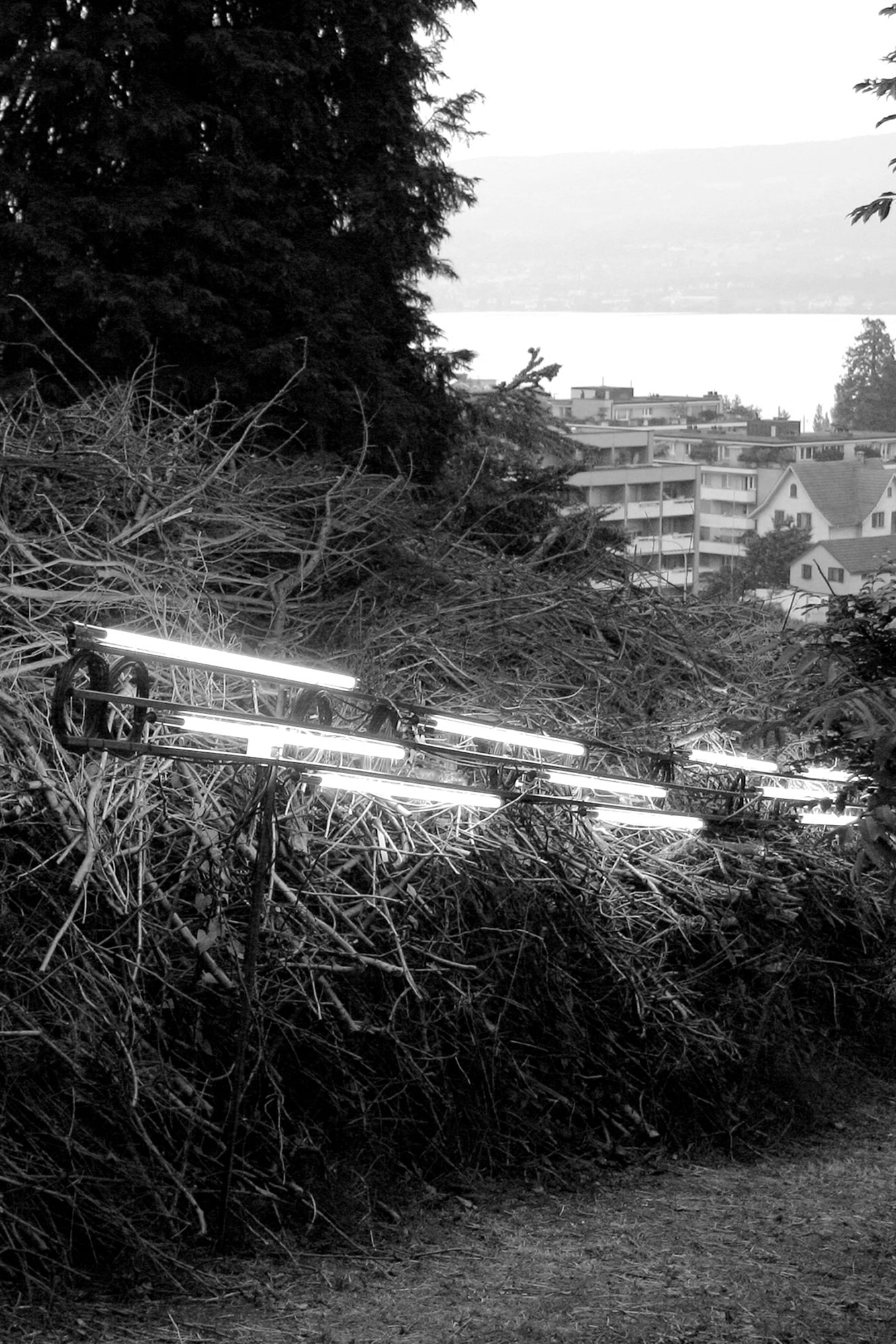 forschungsanstalt  eth parkWädenswil outdoor botanischer garten botanische Exemplare neon Skulptur Lichtskulptur performative Skulptur Gruppenausstellung zeit